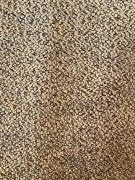 Wall-To-Wall Dollhouse Carpets