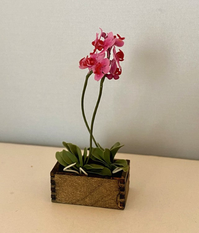 Pink Box Flower