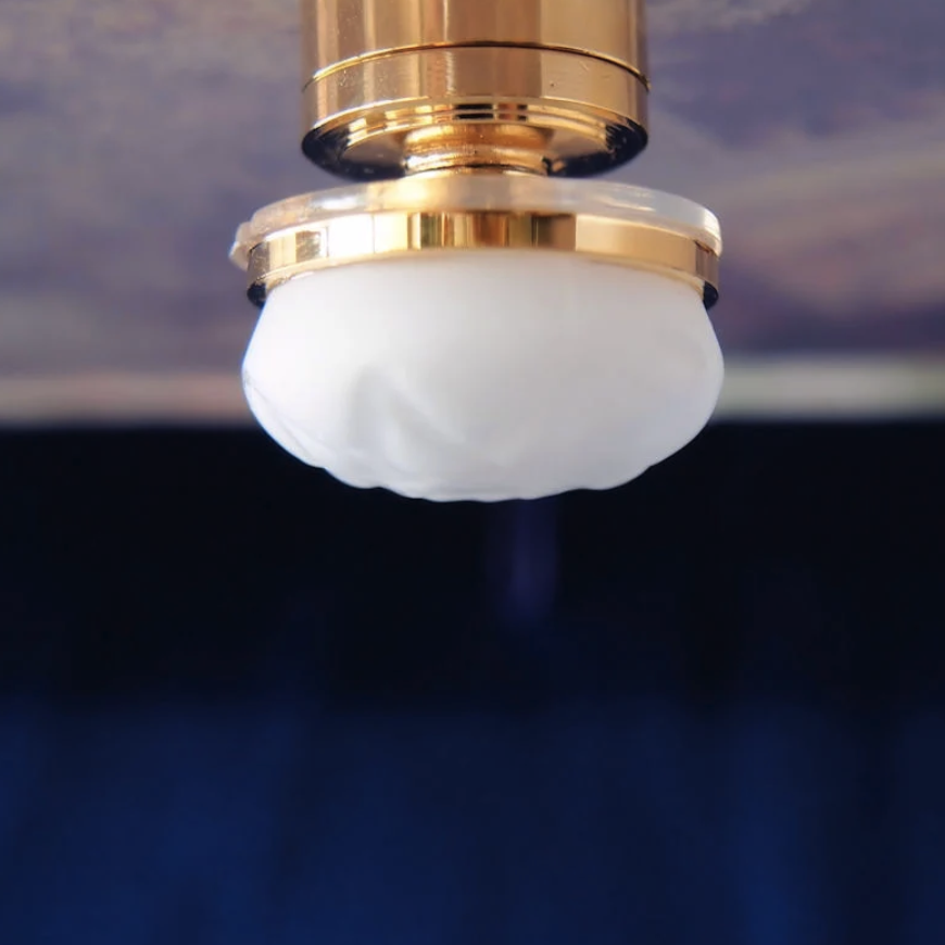 Frosted Globe Ceiling Lamp C29
