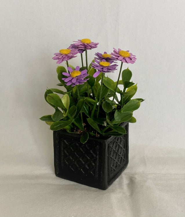 Purple Zinnias in a Black Planter
