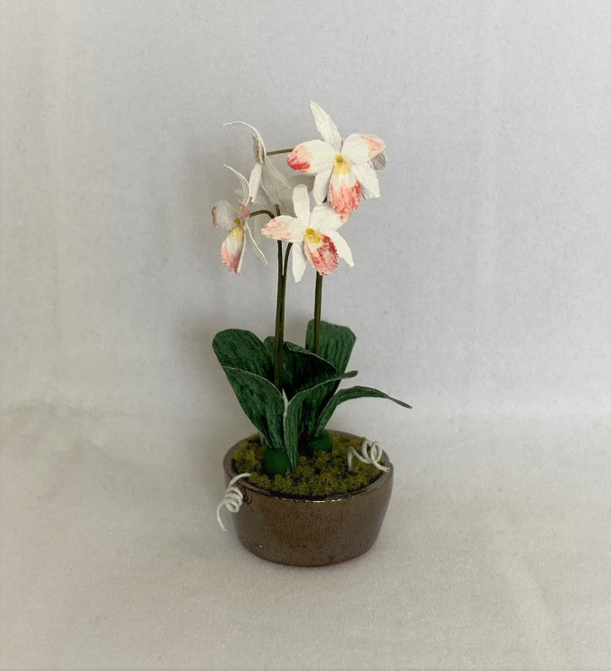 White Orchid in Chrome Vase
