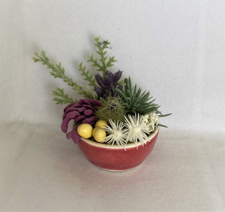 Dollhouse Succulent  with Pink Vase