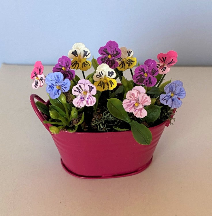 Multi-colored Pansies in a Magenta Bucket