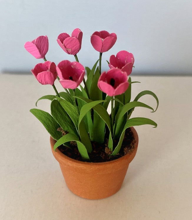 Pink Dollhouse Tulips in a Ceramic Pot