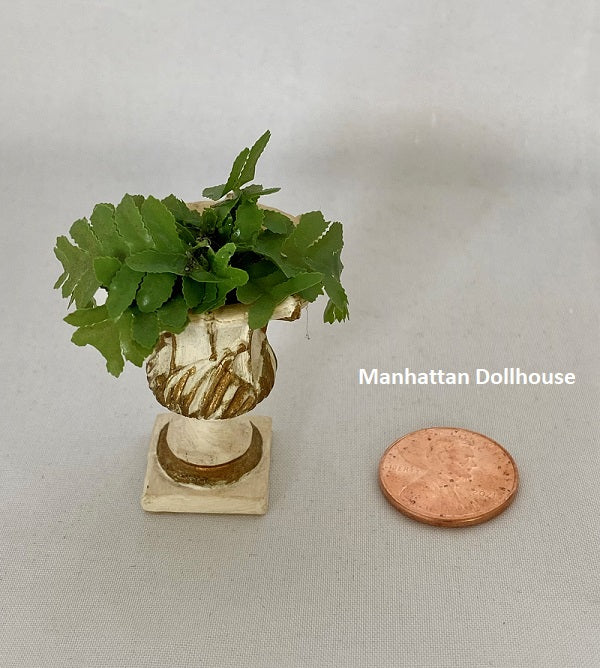 Miniature Fern in a Grecian Planter