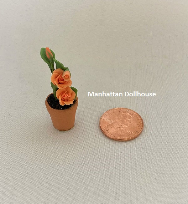 Miniature Orange Roses