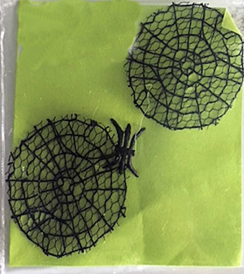 Miniature Spider Web Set