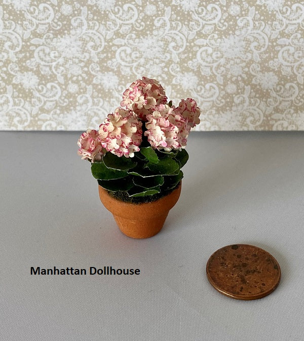 Pink and White Hydrangeas in Ceramic Pot