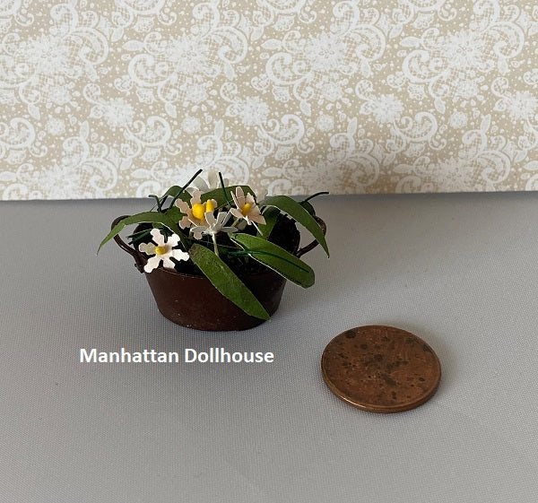 Miniature Plant in Metal Bucket