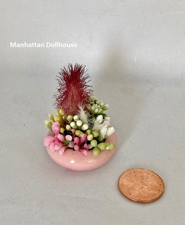 Miniature Succulent in Pink Pot
