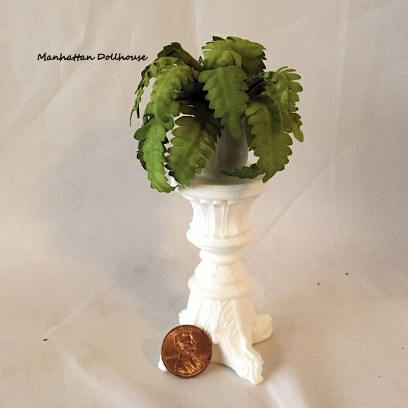 Fern on pedestal