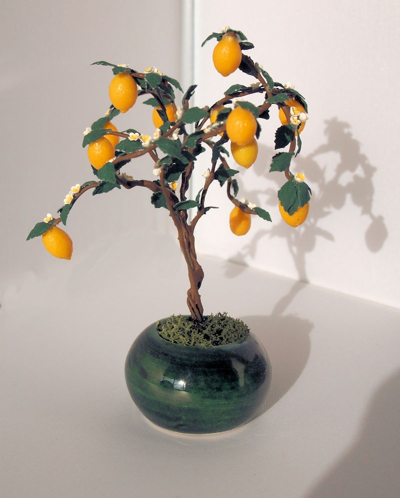 Miniature Lemon Tree