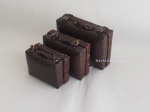 Three Piece Leather Luggage Set