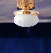 Frosted Globe Ceiling Lamp C29