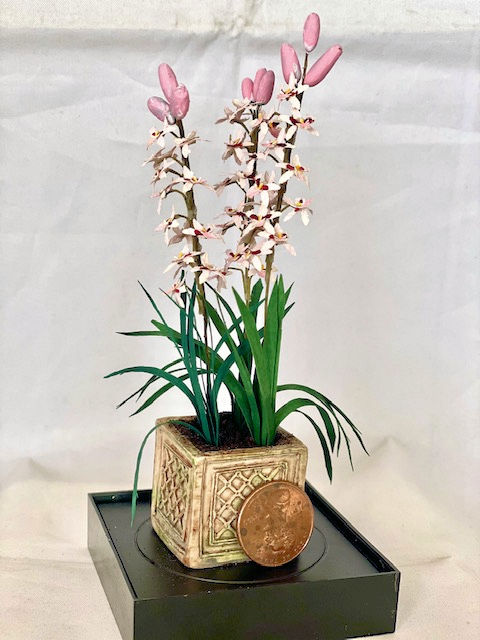 Miniature Plant in Planter - Click Image to Close